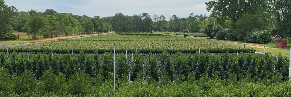 view of G&H Nursery